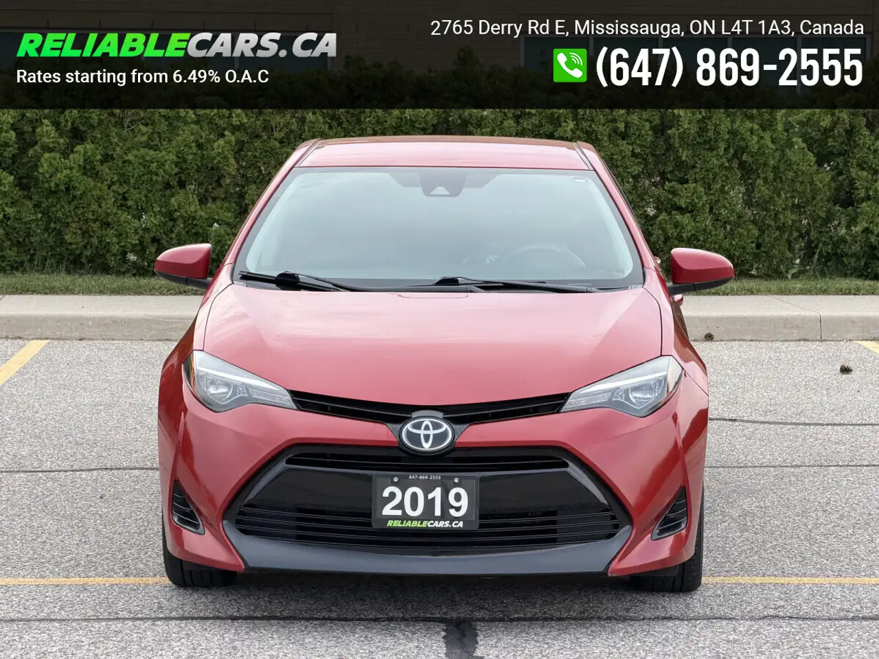 Toyota Corolla photo Toyota Corolla