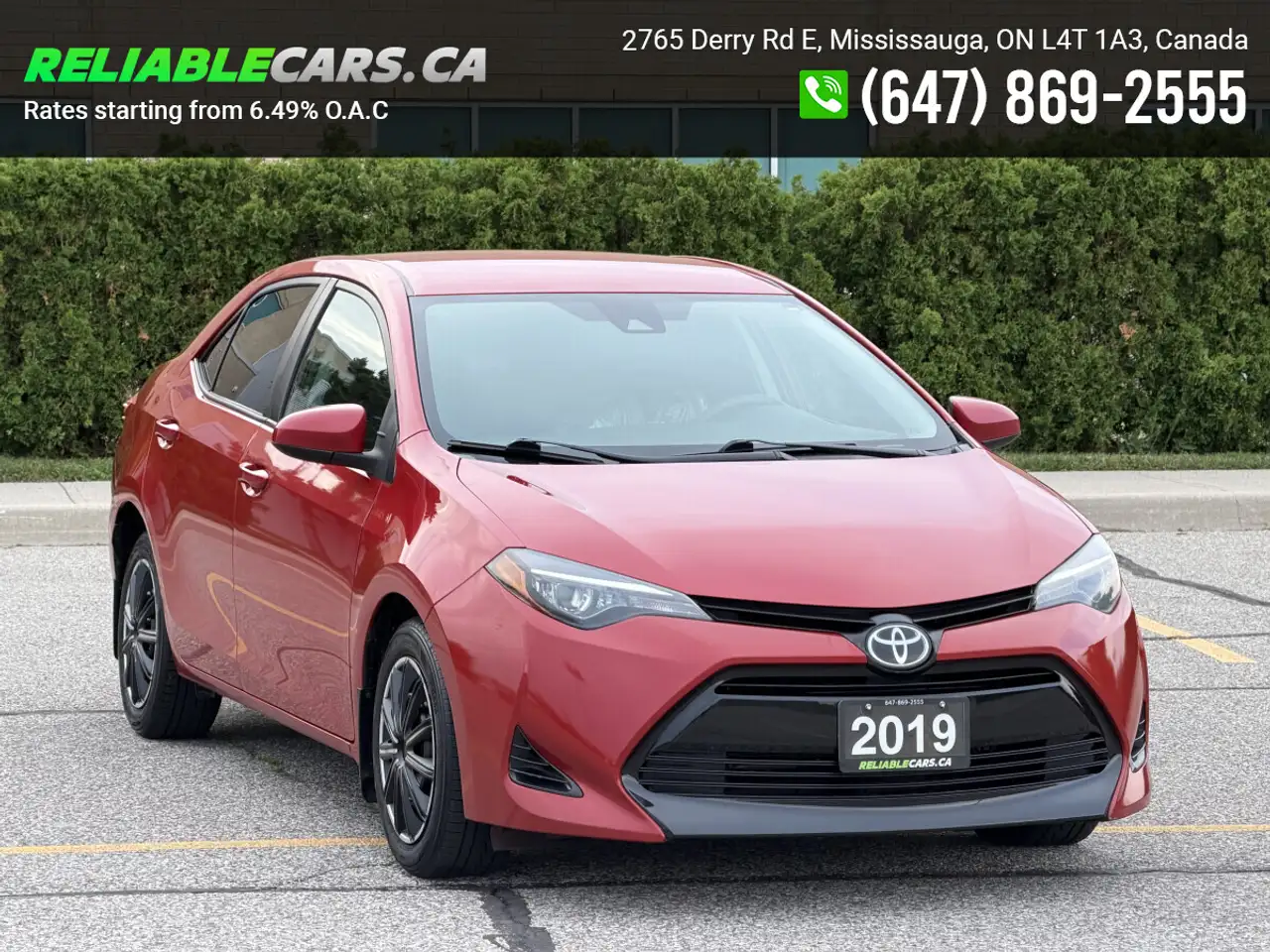 Toyota Corolla photo Toyota Corolla