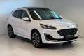 Ford Kuga Vignale 2.5 Duratec Hybrid FHEV*1.BESITZ*AHK*ACC* Weiß - thumbnail 2