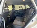 Toyota RAV 4 RAV4 2.5 HV (222CV) E-CVT AWD-i Dynamic Bianco - thumbnail 11