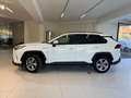 Toyota RAV 4 RAV4 2.5 HV (222CV) E-CVT AWD-i Dynamic Bianco - thumbnail 4