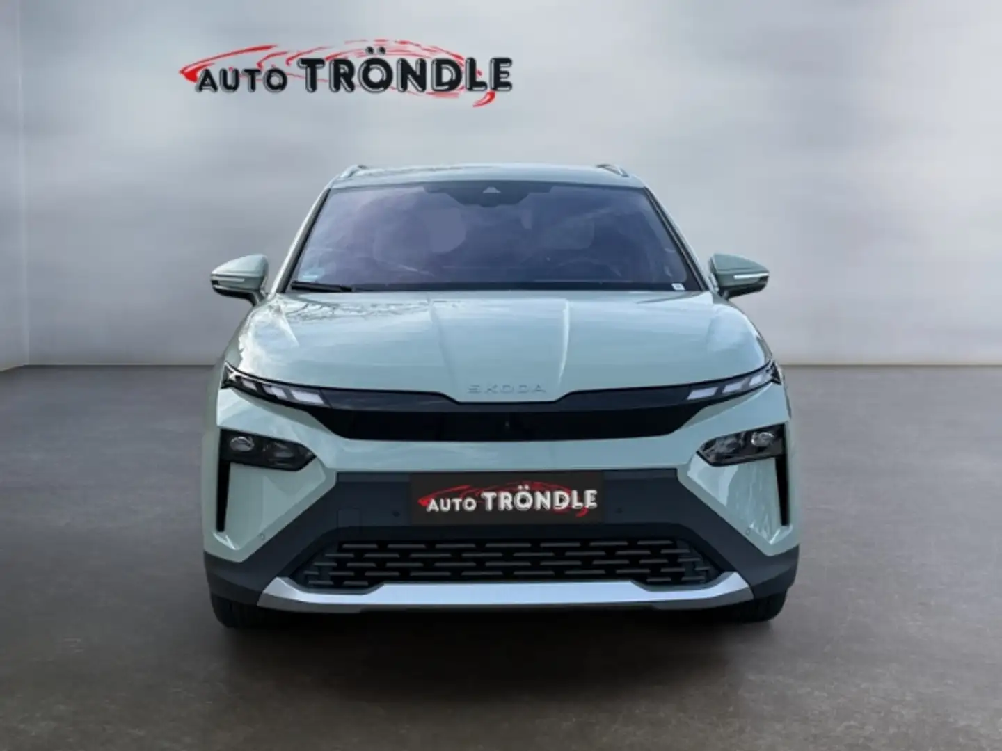 Skoda Elroq 85 Lodge +DCC +360 Kamera +WP +ACC +HuD Grün - 2