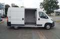 Peugeot Boxer LBW Hochraum 335 L2H2 Pro Avantage Plus Blanc - thumbnail 6