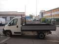 Citroen Jumper 2.0HDI 130CV Cassone FISSO 53.800Km Bianco - thumbnail 6