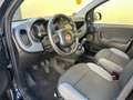 Fiat Panda Panda 1.2 Easy Connect 69cv Nero - thumbnail 11