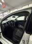 Volkswagen Polo Polo V 2012 5p 1.2 tdi Trendline Bianco - thumbnail 8