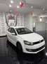 Volkswagen Polo Polo V 2012 5p 1.2 tdi Trendline Bianco - thumbnail 2