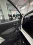 Volkswagen Polo Polo V 2012 5p 1.2 tdi Trendline Bianco - thumbnail 7