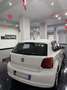 Volkswagen Polo Polo V 2012 5p 1.2 tdi Trendline Bianco - thumbnail 3