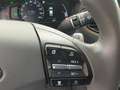 Hyundai IONIQ Elektro 28kW Level4  P5/7-O3/7 Grau - thumbnail 9