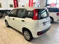 Fiat New Panda 1.2 69CV  EASY OK NEOPATENTATI AZIENDALE Blanc - thumbnail 7