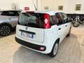 Fiat New Panda 1.2 69CV  EASY OK NEOPATENTATI AZIENDALE Fehér - thumbnail 9