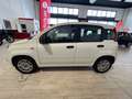 Fiat New Panda 1.2 69CV  EASY OK NEOPATENTATI AZIENDALE Blanco - thumbnail 6