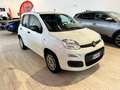 Fiat New Panda 1.2 69CV  EASY OK NEOPATENTATI AZIENDALE Blanc - thumbnail 2
