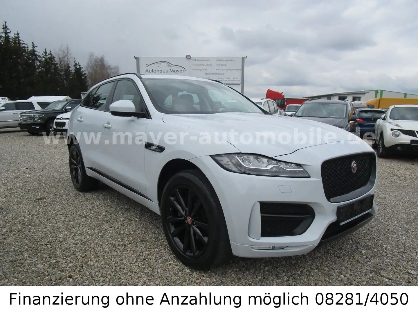 Jaguar F-Pace F-PACE R-Sport AWD Weiß - 1