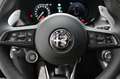 Alfa Romeo Tonale Tonale Veloce Plug-in e-AWD 1.3 270PS AWD Grün - thumbnail 7