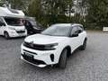 Citroen C5 Aircross Shine es 130 Blanc - thumbnail 14