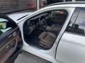 Mercedes-Benz E 400 E 400 d 4MATIC Avantgarde Aut. Avantgarde Weiß - thumbnail 6