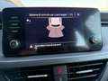 Skoda Kamiq Kamiq 1.0 g-tec Ambition 90cv Blu/Azzurro - thumbnail 14