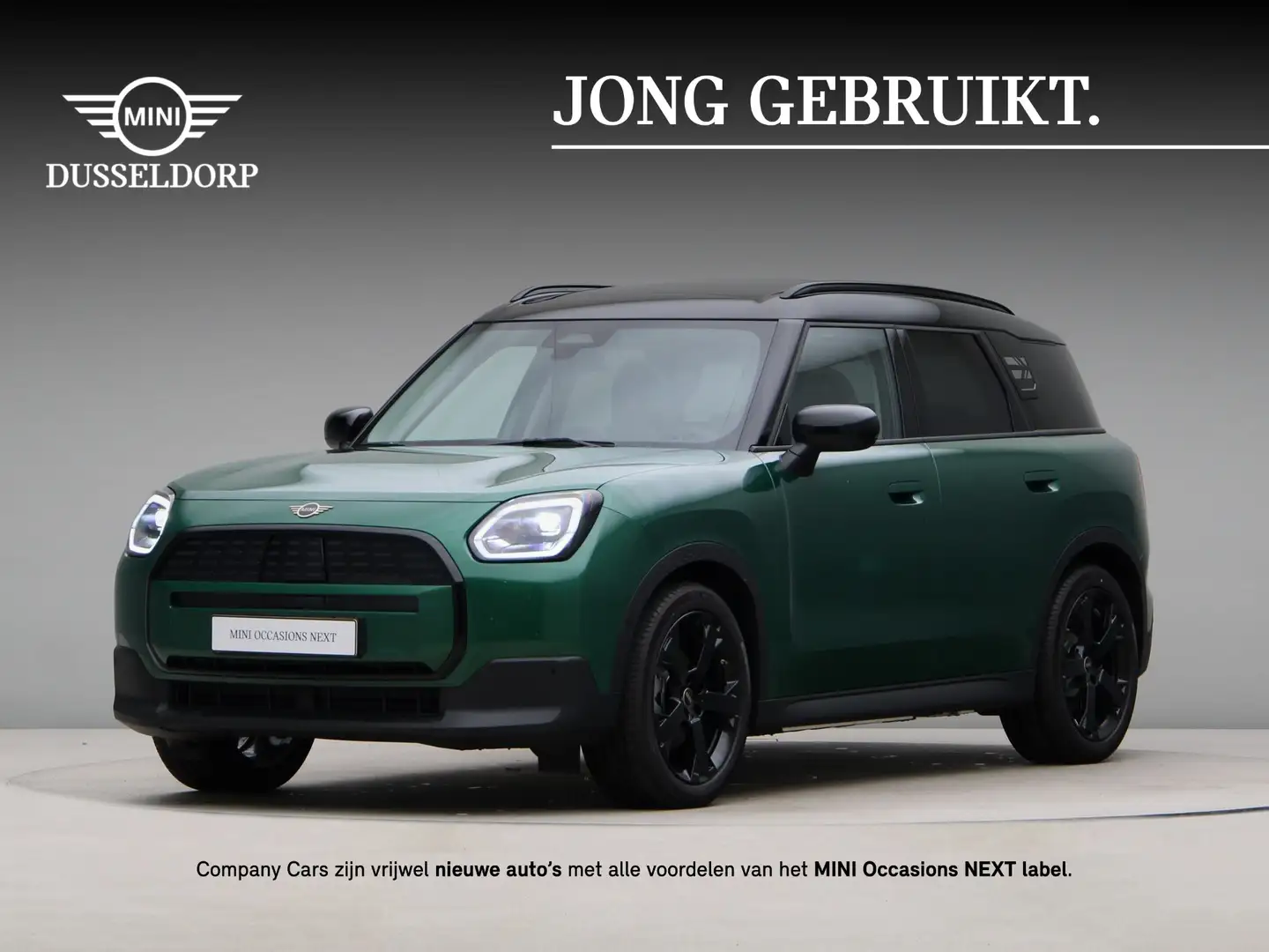 MINI Countryman E Classic Pakket M Plus Groen - 1