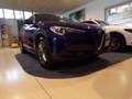 Alfa Romeo Stelvio Q4 2.2 Td Business 190cv automatica Blau - thumbnail 13