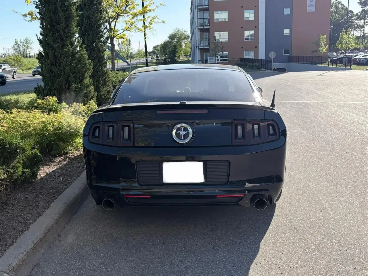 Ford Mustang fotografie Ford Mustang