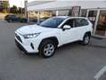 Toyota RAV 4 RAV4 2,5 Hybrid Active AWD Weiß - thumbnail 2