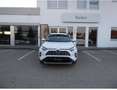 Toyota RAV 4 RAV4 2,5 Hybrid Active AWD Weiß - thumbnail 1