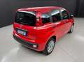 Fiat Panda 1.2 Easy 69cv Red - thumbnail 5