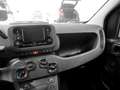 Fiat Panda Pandina 1.0 firefly hybrid s Schwarz - thumbnail 10