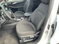 Ford Kuga PHEV Titanium Weiß - thumbnail 19