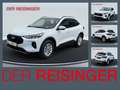 Ford Kuga PHEV Titanium Weiß - thumbnail 1