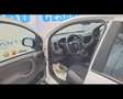 Fiat New Panda 1.0 FireFly Hybrid Weiß - thumbnail 5