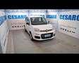 Fiat New Panda 1.0 FireFly Hybrid Bianco - thumbnail 1