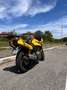 Honda CB 500 S Giallo - thumbnail 7