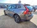 Volvo XC60 XC60 2.0 b4 Momentum awd auto my20 Grigio - thumbnail 8