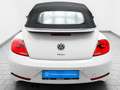 Volkswagen Beetle Cabrio 1.4 TSI DSG Cup R line Exterieur Leder Navi Blanco - thumbnail 5