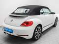 Volkswagen Beetle Cabrio 1.4 TSI DSG Cup R line Exterieur Leder Navi Blanco - thumbnail 6