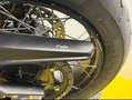 Triumph Tiger 900 Vert - thumbnail 10