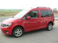 Volkswagen Caddy Comfortline BMT 4Motion Rot - thumbnail 5