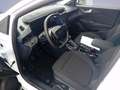 Ford Puma 1.0 MHEV TITANIUM *Winter+Komfort PK*Schutzbrief* Wit - thumbnail 8