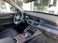 Alfa Romeo Stelvio Stelvio 2020 2.2 t Business Q4 190cv auto Nero - thumbnail 9