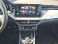 Skoda Kamiq Ambition 1.0 TSI / AndroidAutoAppleCarPlay 81 k... Rot - thumbnail 12