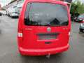 Volkswagen Caddy 1.6 Life Team*7Sitze*KLIMA*ZAHNRIEMEN NEU* Roşu - thumbnail 8
