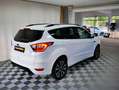 Ford Kuga ST-Line 2.0 EcoBOOST 1. HAND YOU-TUBE Weiß - thumbnail 6