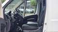Fiat Ducato L3 H2 3-Sitzer *Kamera*Navi*Tempomat* Weiß - thumbnail 12