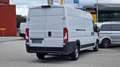 Fiat Ducato L3 H2 3-Sitzer *Kamera*Navi*Tempomat* Weiß - thumbnail 5