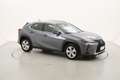 Lexus UX 250h Hybrid Business 2.0 Full Hybrid 184CV Grigio - thumbnail 7