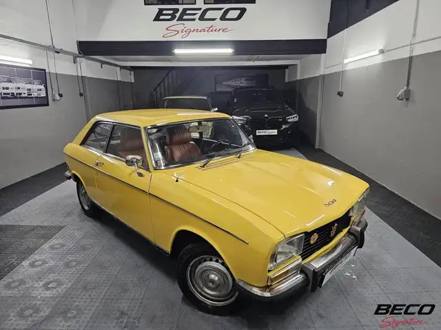 Peugeot 304