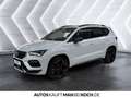 CUPRA Ateca 2.0 TSI DSG 4 Drive LED NAVI ACC AHK Weiß - thumbnail 3
